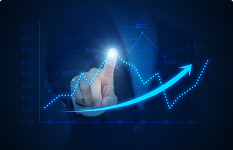 完善制度，规范流程，严格履行信息披露义务