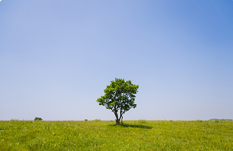 完善制度，规范流程，严格履行信息披露义务