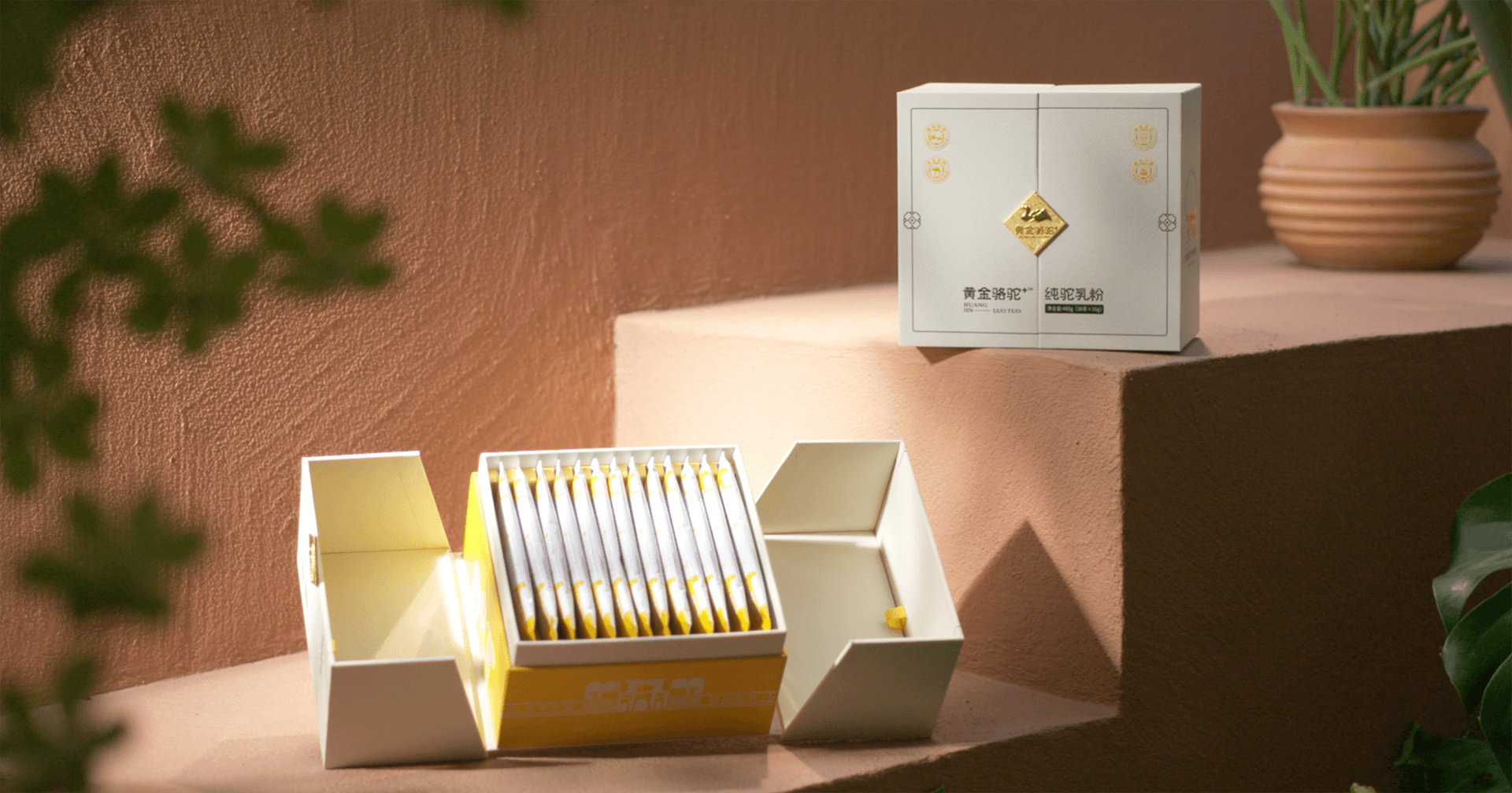 定位小众高端乳粉，壹号娱乐-com推出驼奶品牌“黄金骆驼+”，角逐乳品新市场！